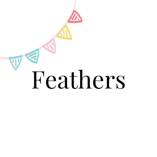 Feathers