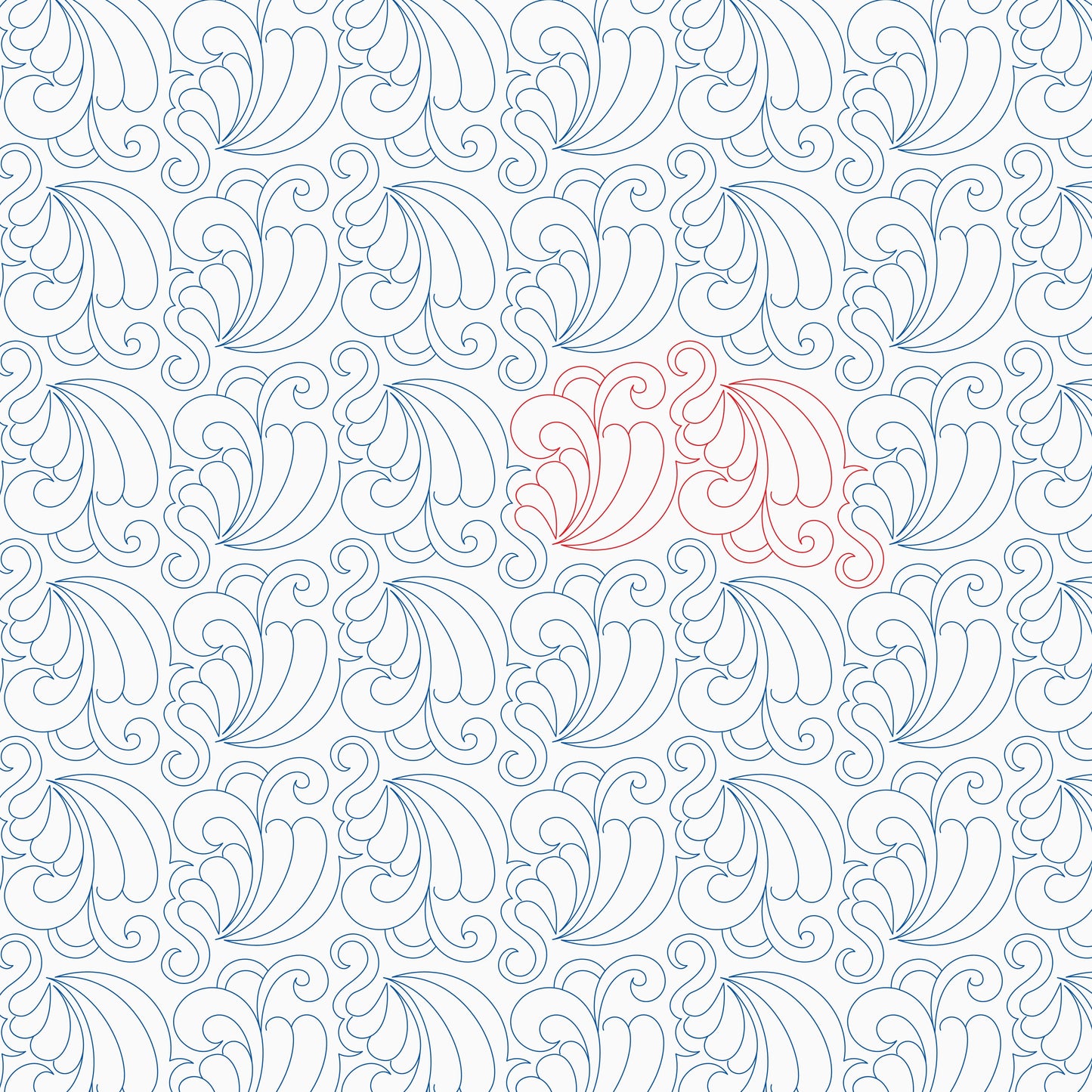 Curly Feathers