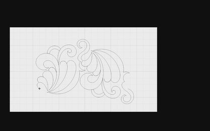 Curly Feathers
